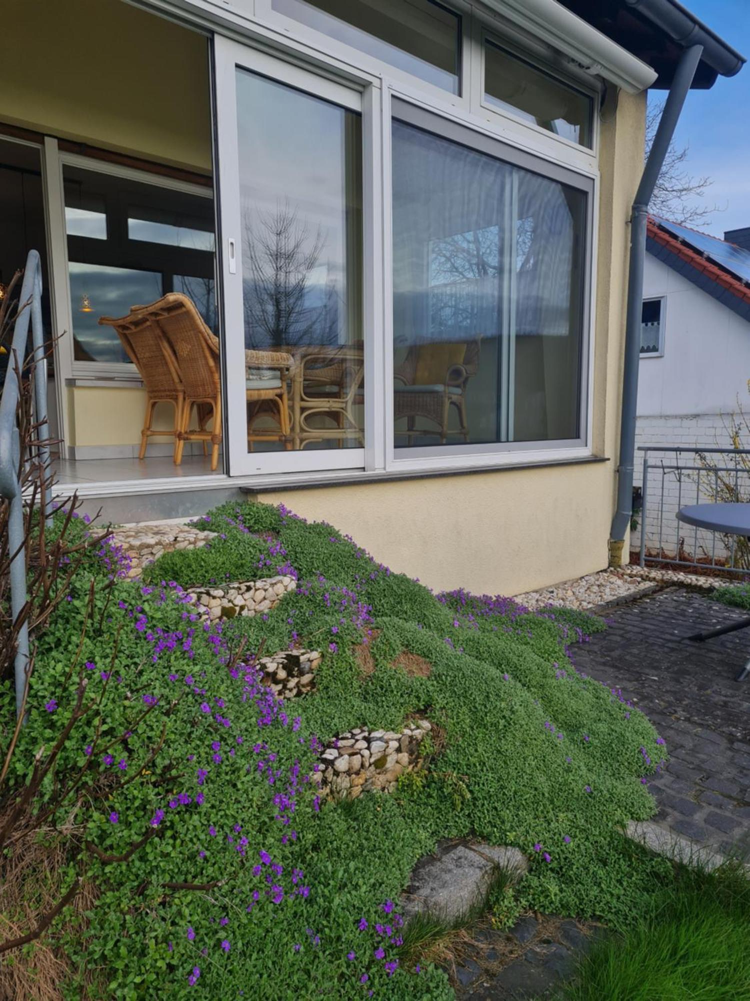 Ferienwohnung Im Rurtal Kreuzau Bagian luar foto