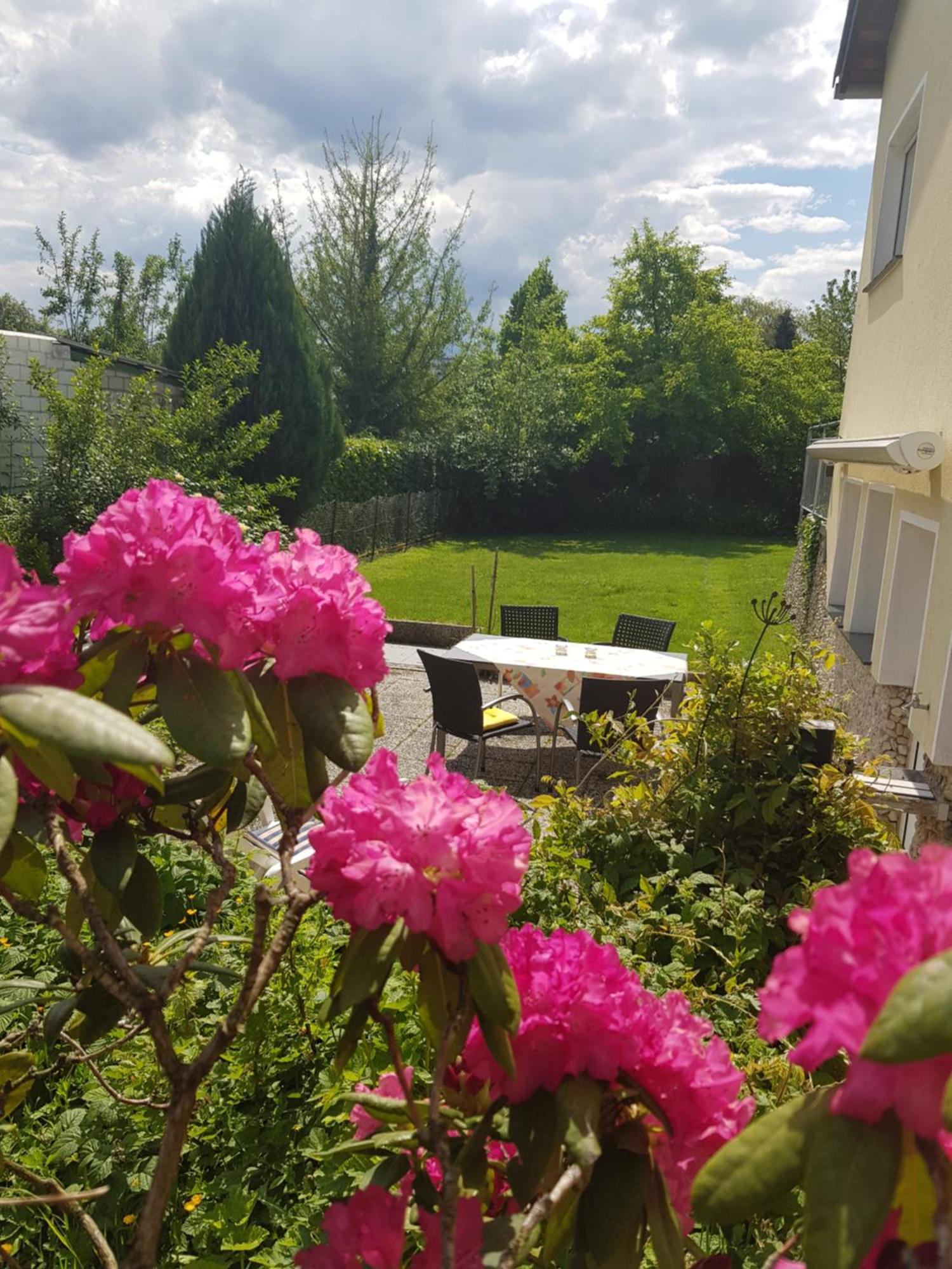 Ferienwohnung Im Rurtal Kreuzau Bagian luar foto
